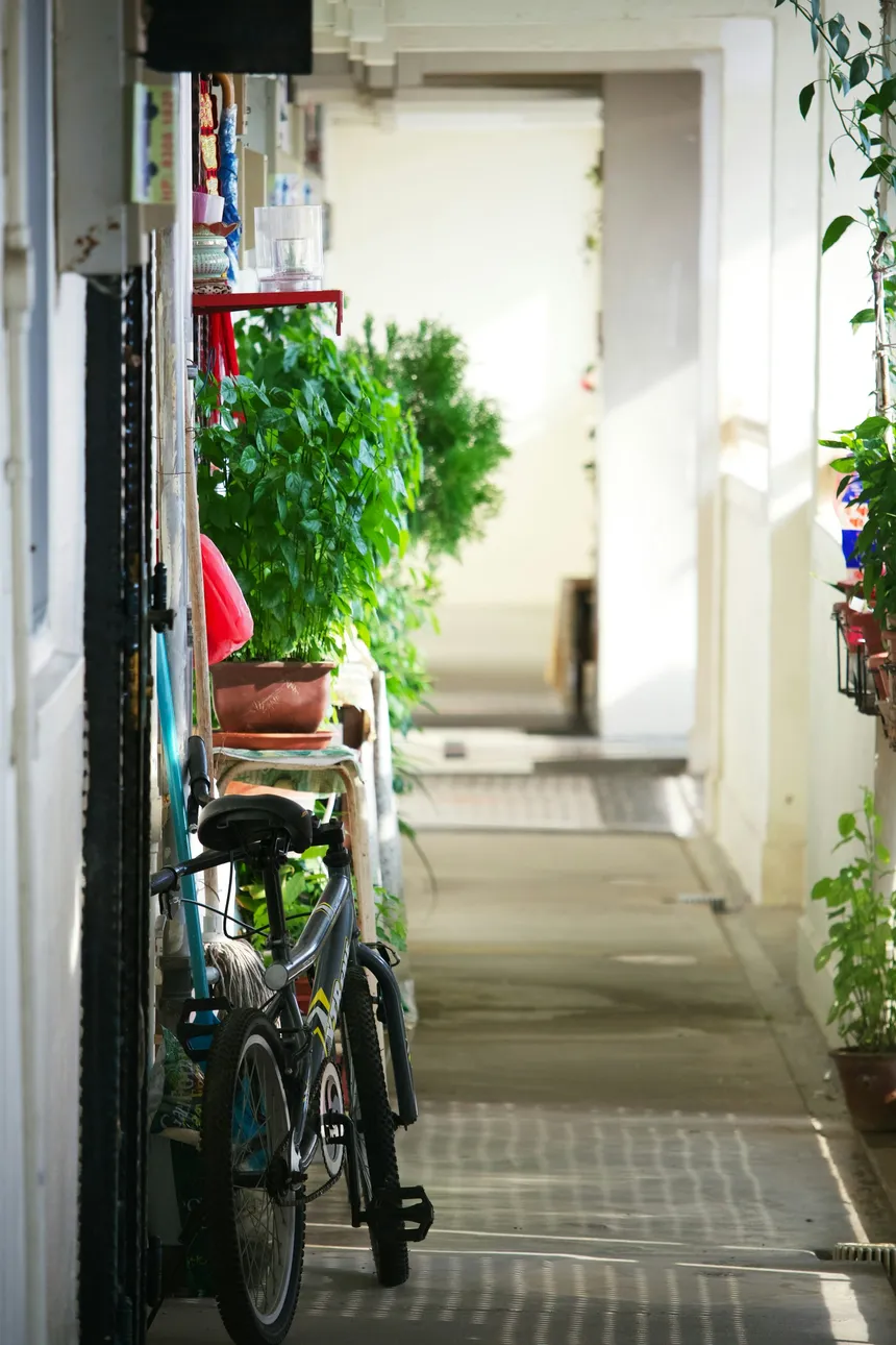 A bicycle stood against the wall of a narrow indoor corridor lined with plants