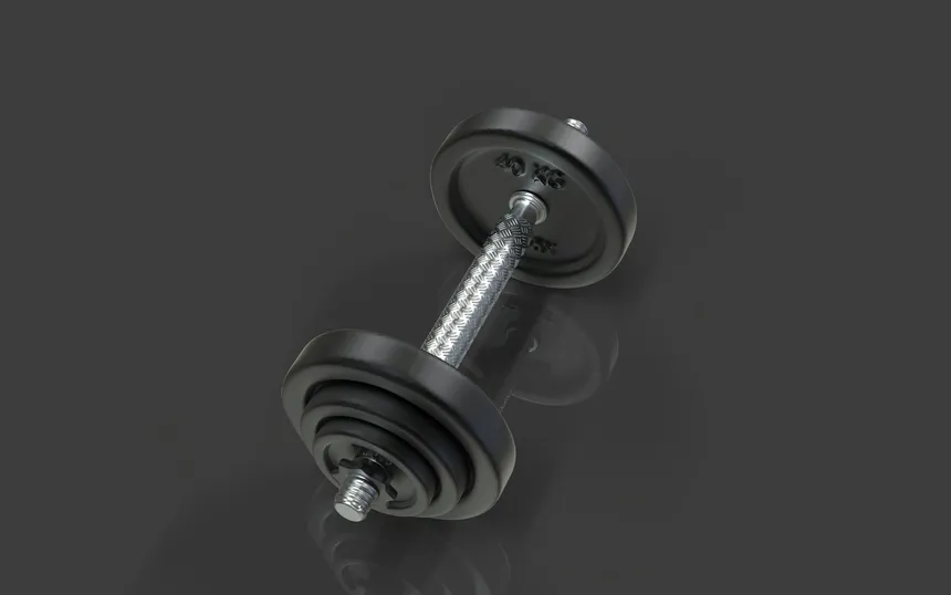A single adjustable dumbbell with stacked plates and a threaded handle, shot against a plain grey background