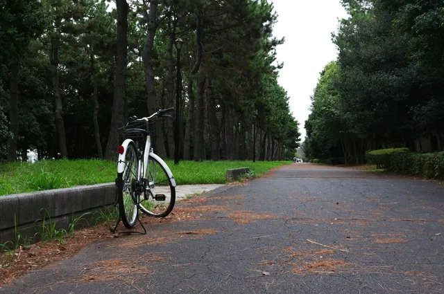 A bicycle standing alone on a tree-lined park path, propped on its stand
