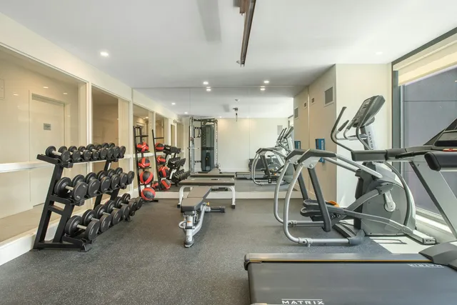 A carpeted gym room with a rack of fixed dumbbells along one wall and cardio machines beyond