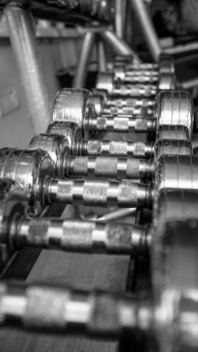 A long rack of fixed chrome dumbbells in ascending weight order, seen down its length