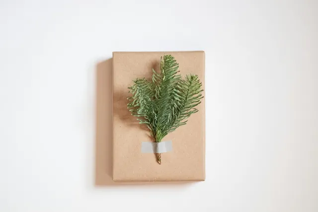 A plainly wrapped parcel tied with string, waiting to be given